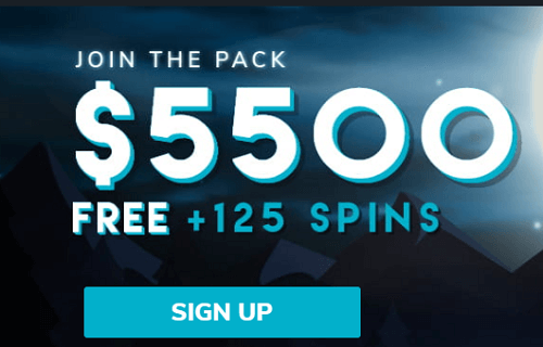 Wolf Winner Online Casino Welcome Bonus
